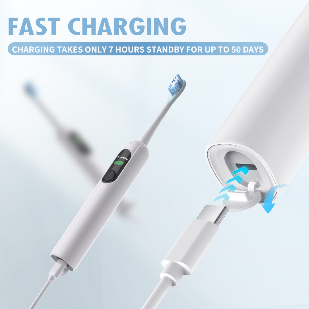 X800-U Electric Toothbrush USB - огляд і ціна Teeth Whitening Toothbrush