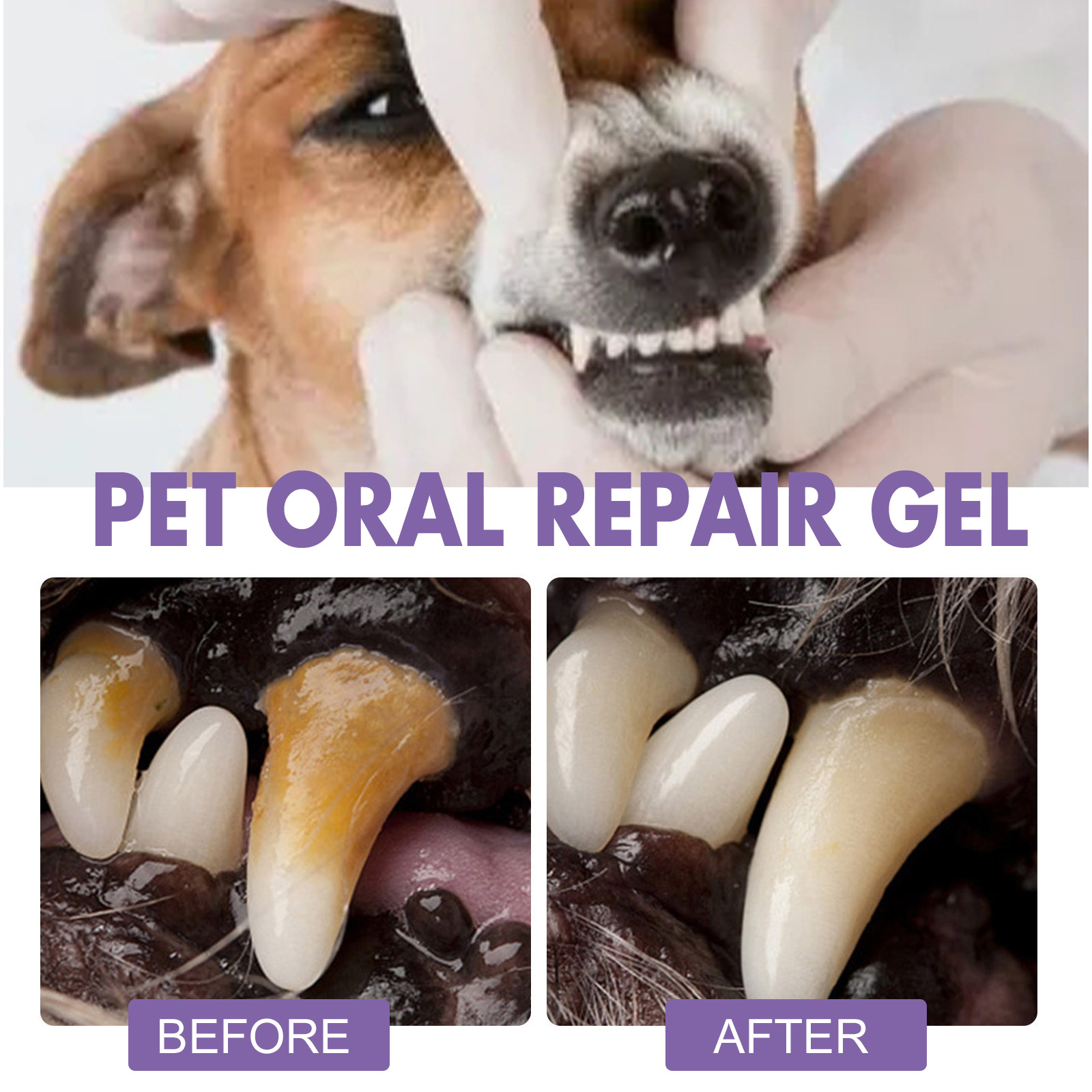 Pet Oral Repair Gel Puppy Tart - огляд і ціна Teeth Whitening Before And After